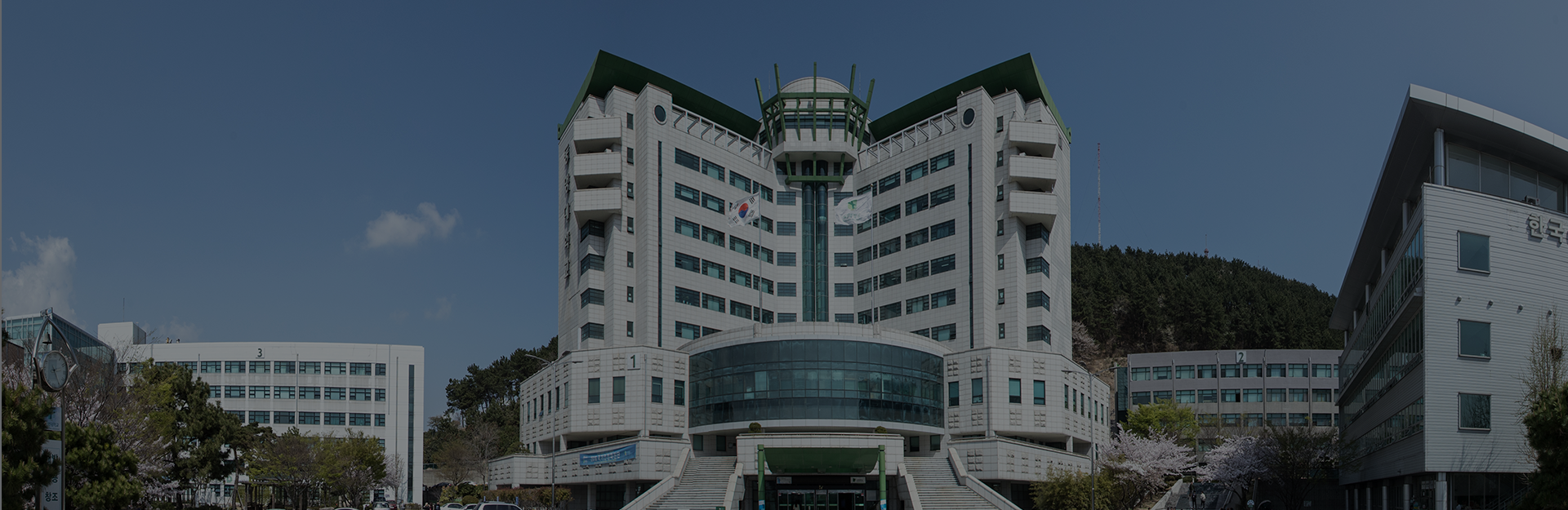 이미지1
