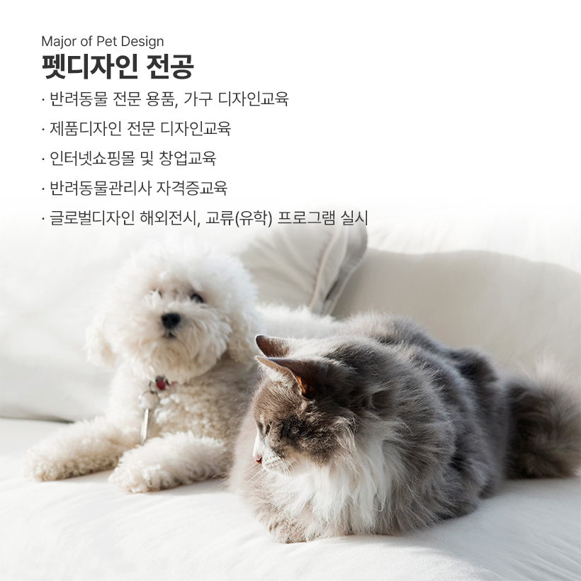 Major of Pet Design 펫디자인 전공 · 반려동물 전문 용품, 가구 디자인교육
· 제품디자인 전문 디자인교육
· 인터넷쇼핑몰 및 창업교육
· 반려동물관리사 자격증교육
· 글로벌디자인 해외전시, 교류(유학) 프로그램 실시