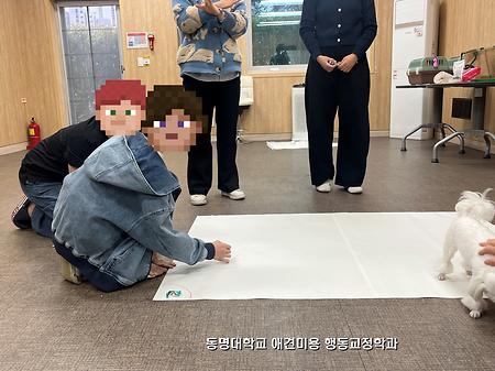 동물매개활동