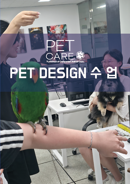 펫디자인 수업