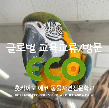 국제교류